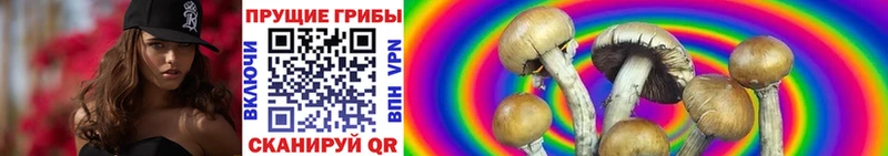 что такое Мегион kraken сайт Псилоцибиновые грибы Magic Shrooms